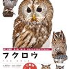 フクロウ　飼える種類、食べ物、接し方、仲良くなる方法がすぐわかる！（小動物★飼い方上手になれる！）