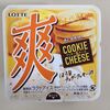 アイス【爽　クッキー＆チーズ】を買いました～　実食レポート