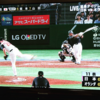 WBC オランダ戦