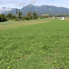 長野・飯盛山に涼みに行く①