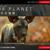 4/5からNetflixでリカオンがでるOur Planetが始まります