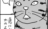 【ネコに勝てない】飼ってない猫　その３３「キマッたびっくり」【エッセイまんが】