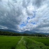 2023/07/12 水曜日　老ネコ介護