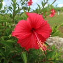 沖縄のおすすめスポット🌺🏝