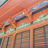 鹿沼市　医王寺・3　大舜