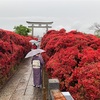 （京都ぶらぶら）長岡京　長岡天満宮