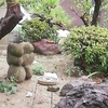 鴨漂ふ全を閉じる初冬雨