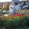 共感と他人事（ひとごと）