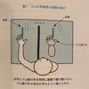 身体の不思議Seriesその1『幻肢痛』感覚統合を利用した錯覚によるアプローチについて。