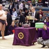 もっと泣け奇跡の稀勢の里