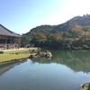 西国庭園巡り・京都編。京都御所、天龍寺庭園、仁和寺庭園、龍安寺庭園、西本願寺庭園、大徳寺興臨院庭園、松尾大社庭園