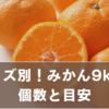 みかん9kgは75〜115個！サイズ別の特徴とお得な買い方・保存術