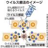 じじぃの「第5の治療法・がん・ウイルス療法・毒をもって毒を制す！夕刊フジ」