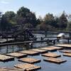 【公園遊び】自然の中で遊ぼう！電車で行ける公園。千葉県野田市「清水公園」に行ってきました！