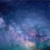 子どもが懇願する先には新たな発見と、子どもの成長を感じることができる