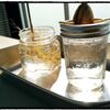 経過観察、ベランダの植物たち。