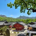 韓国生活