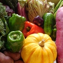 種と野菜と起業と私