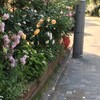 『今週のニュースよもやまと共謀罪』と『0519再稼働反対！首相官邸前抗議 feat. #高浜原発再稼働反対』＋『共謀罪法案に反対する国会前大抗議行動』