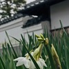 １月９日