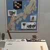 橿原考古学研究所附属博物館13、古代遺跡・遺物から見る仏教の受容と広まり