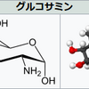 もっといろんなものとつながってみようよ