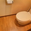 【ナチュラルクリーング】素手でトイレの大掃除をしました♪