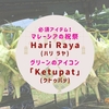 マレーシアの祝祭「Hari Raya」(ハリ ラヤ)必須アイテム！グリーンのアイコン「Ketupat」(クトゥパッ)