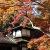 横浜・三渓園で紅葉の庭園を観賞