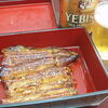 もう鰻しか見えない