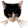 けものっず