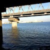 リゾート江戸川河口
