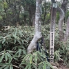 蛇谷北山～石の宝殿～魚屋路～筆や道~有馬