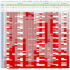 新型コロナウイルス、国別・人口あたり新規感染者数（1月12日現在） /  COVID-19 cases per population by country, as of January 12, 2022