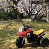 ２歳の息子がバイクデビュー☆買って良かった！！　AVIGO 電動ミニモト