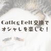 Catlog Belt交換でオシャレを楽しむ！