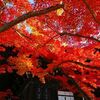 2014錦秋♪京都で紅葉狩り＜第1日＞涉成園→下鴨神社→真如堂→法然院→安楽寺
