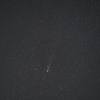 またね、紫金山･アトラス彗星(C/2023A3)　2024.11.03