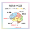 脳のお話　側頭葉の働き