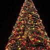 名古屋港で見たクリスマスツリー