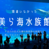 沖縄美ら海水族館の没入感がすごい！見るもの全てが大迫力で美しすぎる巨大水槽や熱帯魚の楽園などオススメスポット紹介