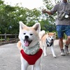 浦山公園散歩 7/29
