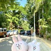 タイのチェンマイとカンボジアのシェムリアップはなんとなーく似ている