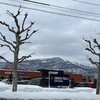 春を待つの心