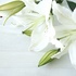 夏休み突入！四十九日法要からのお返し