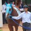 直前の仕上げに苦労した分、レース当日は重め残りの馬体。また、大型馬の割に繊細な面を持ち合わせ、出遅れ＋二の脚が全く付かず。嫌な予感しかしなかったも、砂を被っても躊躇するような面はなく、ダートの走りは良好。最後までじわじわ伸びたことからスタミナも豊富。精神面が悪い方へ向かなければ、結構頑張ってくれそう。☆ジョリーロジャー