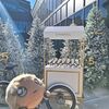 カフェ探訪 2024年12月 後編