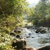 2012.9.20 伊豆遠征１日目　狩野川支流～徳永川でアマゴゲット