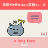 a long face【直訳では分からない英語フレーズ＃48】