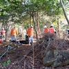 チッパー作業・昨日2日目トラブル